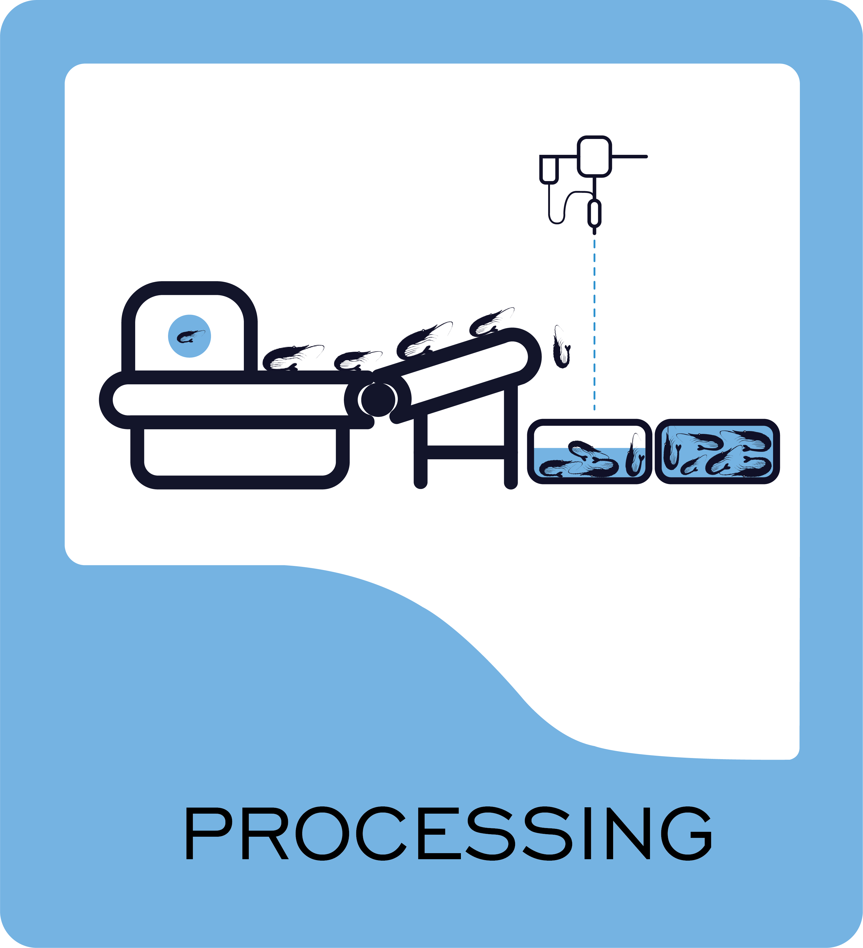 processing