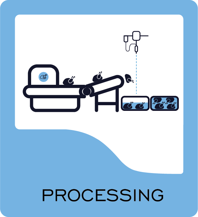 processing